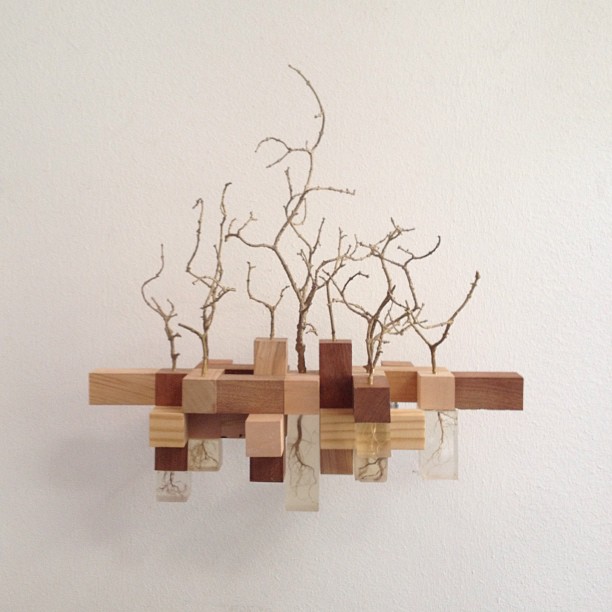 1368_10200415708011815_889268664_n